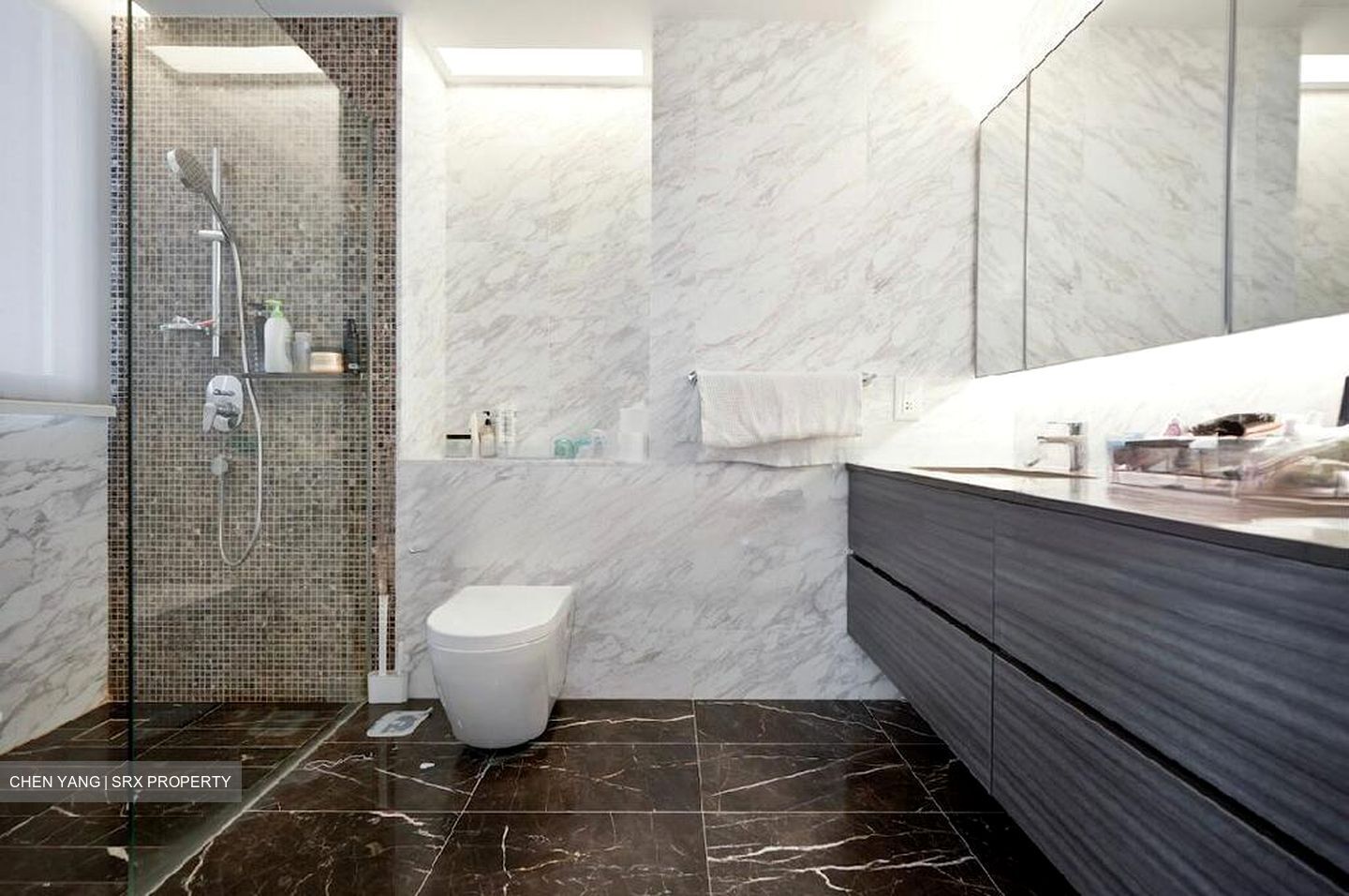 Amber Skye (D15), Apartment #472223651